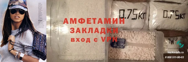 прущие грибы Балахна