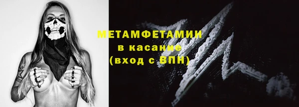 прущие грибы Балахна