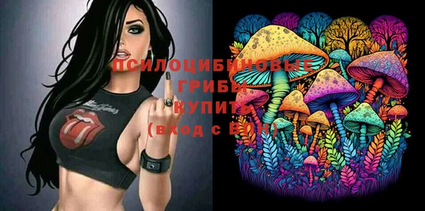 индика Баксан