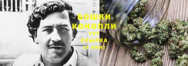 гидра Нязепетровск