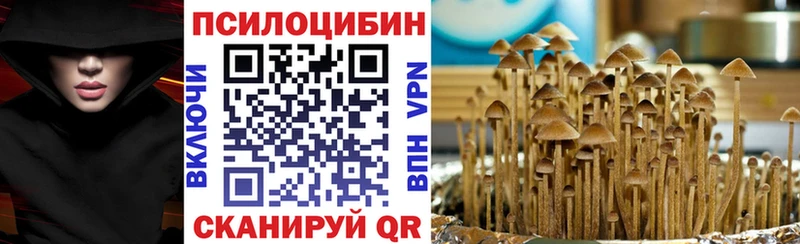 Псилоцибиновые грибы MAGIC MUSHROOMS наркошоп Калуга